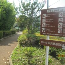 宮の坂駅近くの緑道の様子です。