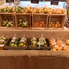 愛媛県産の柑橘類が販売されていました。