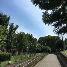 緑が多い大きめの公園