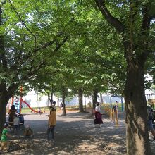 子供向けの遊具が並ぶ