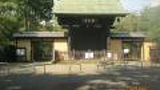 彦根の井伊家の菩提寺です。