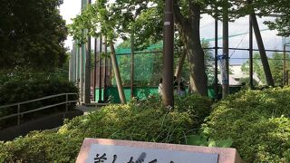 緑が多い公園