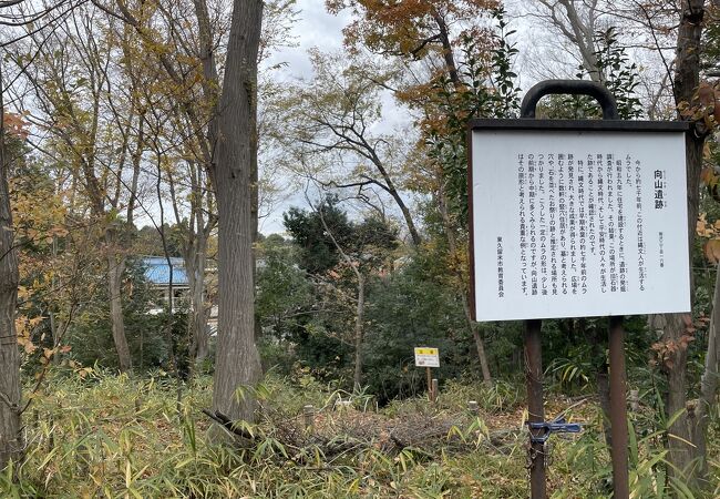 向山緑地公園 クチコミ アクセス 営業時間 東久留米 清瀬 フォートラベル