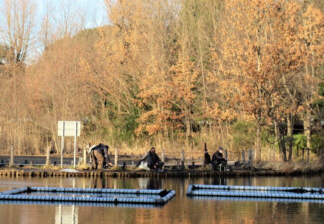 川口自然公園 クチコミ アクセス 営業時間 川口 戸田 蕨 フォートラベル
