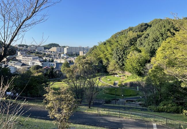 多摩の公園