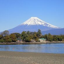 海水浴場からの富士山