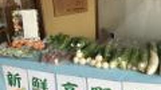 嵐山の休憩場所です