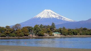 晴天に恵まれ、富士山がくっきり！