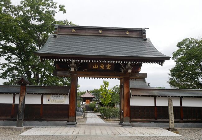 会津のお寺さん 阿弥陀寺 | 会津若松七日町通り