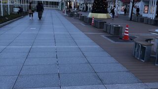 大きな駅近ショッピングセンター