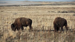 アンテロープアイランド州立公園
