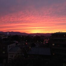 客室からの景色が最高。