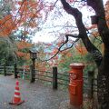 歴史ある温泉旅館でゆったり