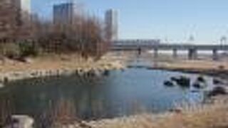 世田谷散策(7)で兵庫島公園に寄りました