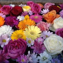 水に浮かべた花