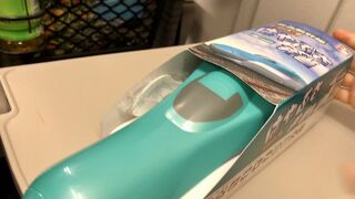 東北新幹線はやぶさ弁当