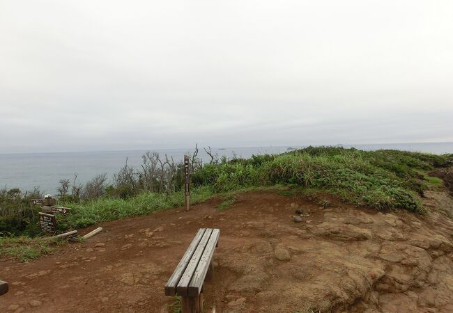 逢ヶ浜から盥岬まで歩く