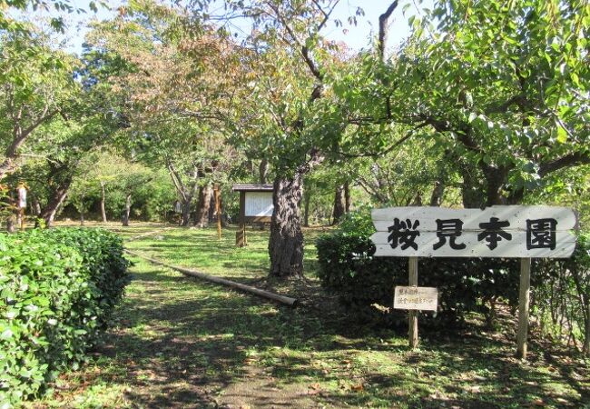 訪問はお花見の時期にしましょうね