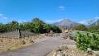 島原半島の霊峰