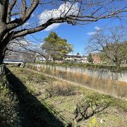 むさしの公園