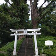 大都市・江戸を支えた神田上水の守護神を祀った神社です！