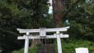 大都市・江戸を支えた神田上水の守護神を祀った神社です！