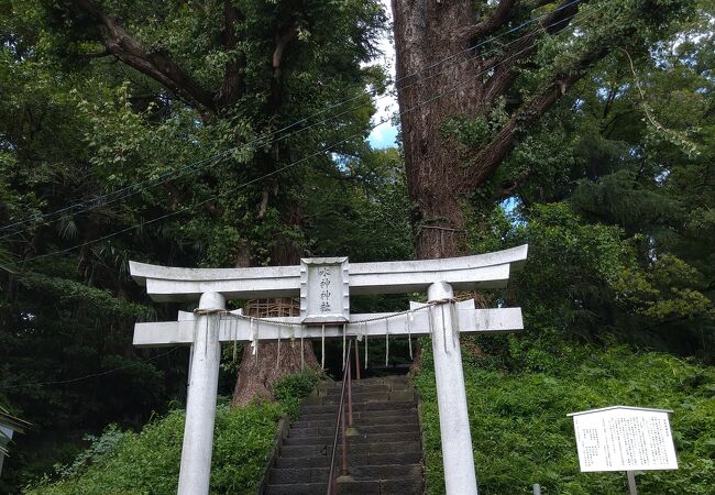 大都市・江戸を支えた神田上水の守護神を祀った神社です！