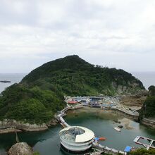 イルカショーを上から楽しむ