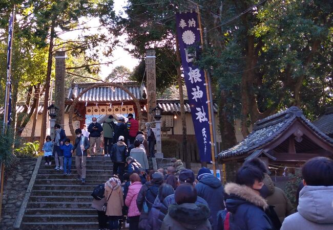 まくら祭りの起点、日根神社にお正月に訪れました。