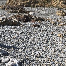 丸い石がゴロゴロ