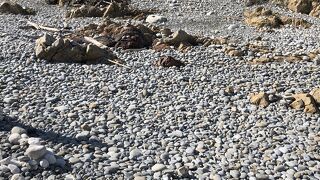 丸い石がゴロゴロ