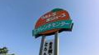 オレンヂセンターで生ジュース