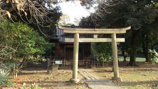 浜離宮恩賜庭園の中にある小さな神社 
