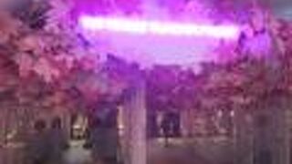 恐竜に関する特別展が開催