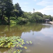 相馬野馬追の出陣式が行われる相馬中村神社はこの公園内にあります