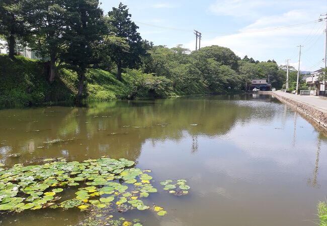 相馬野馬追の出陣式が行われる相馬中村神社はこの公園内にあります