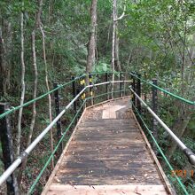 遊歩道は整備され歩きやすかったです