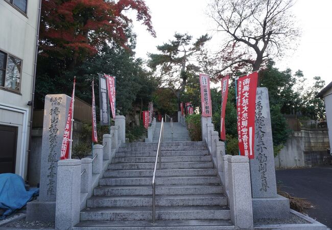 今では綿貫家という範囲を越えて栄えている感じ