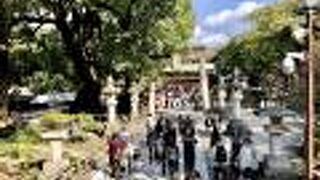 心字池の中にある島にあります