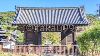 個人的には重要文化財である表門が特におすすめです。