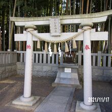 入り口の鳥居です。