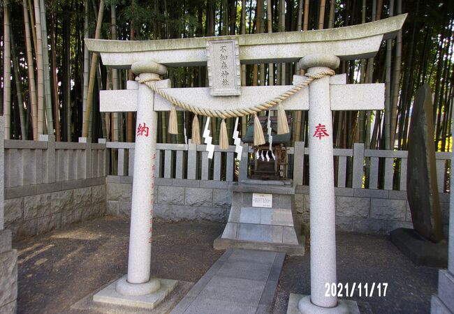 不知八幡森 八幡の藪知らず クチコミ アクセス 営業時間 市川 フォートラベル