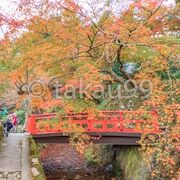 小さいですが風情のある橋と紅葉のコラボレーションが見事でした。