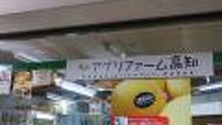 高知空港にあります