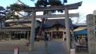 岡崎城は龍の城？