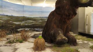 マンモスがド～ン　驚かされるが力作の展示の数々　帯広百年記念館
