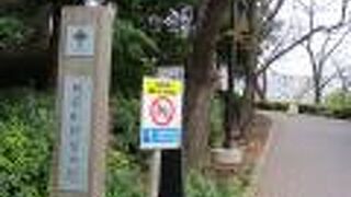 眺めがとてもすばらしい