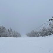 雪質は良い