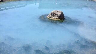 地獄めぐりツアー