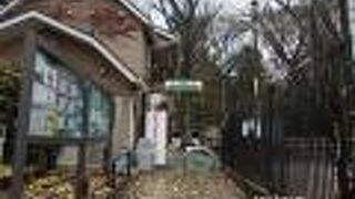 無料で乗馬体験ができます。